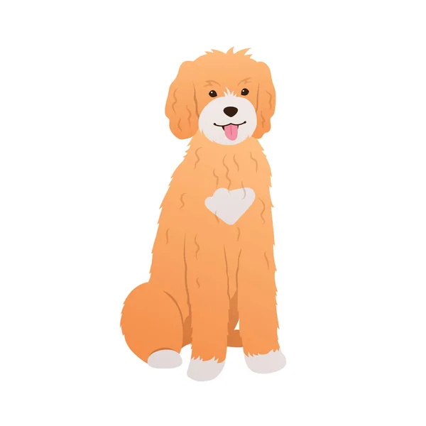 Goldendoodle Fehér Háttérben Imádnivaló Kutya Színes Rajzfilm Illusztráció Lapos Stílusban — Stock Vector