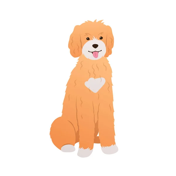 Goldendoodle Sitzt Auf Weißem Hintergrund Entzückende Hund Bunte Cartoon Illustration — Stockvektor