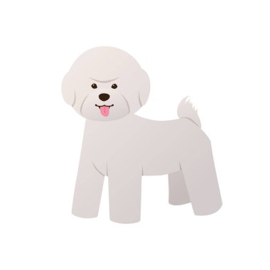 Şirin Bichon Frise köpek yavrusu, düz stil. Beyaz arka planda beyaz tüylü ceketli çizgi film köpeği. Vektör illüstrasyonu
