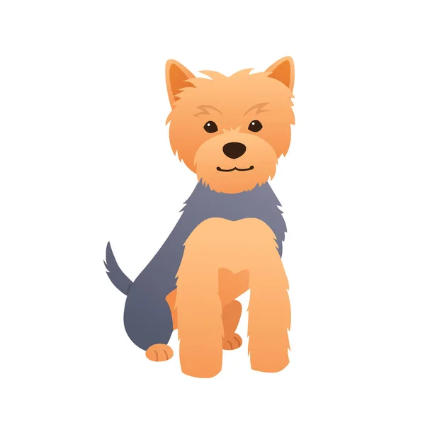 Adorable Perrito Yorkshire Terrier Sentado Sobre Fondo Blanco Pequeño Perro — Vector de stock