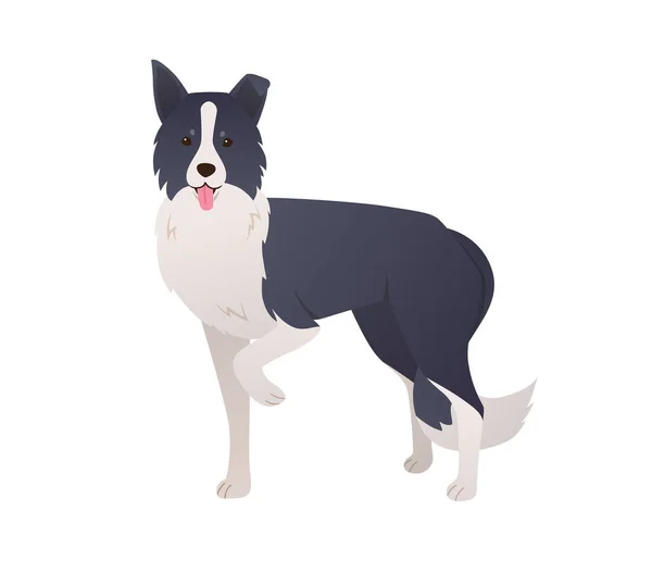 Nette Border Collie Hund Zeichentrickfigur Modernen Flachen Stil Stehender Erwachsener — Stockvektor