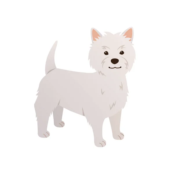 Wektor Białego Terriera West Highland Ilustracja Psa Kreskówki Płaskim Stylu — Wektor stockowy