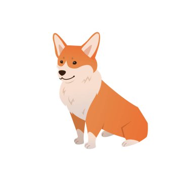 Galli Corgi Dog düz çizim. Beyaz arka planda oturan vektör çizgi film karakteri. Hayvan eğitimi ve öğretim