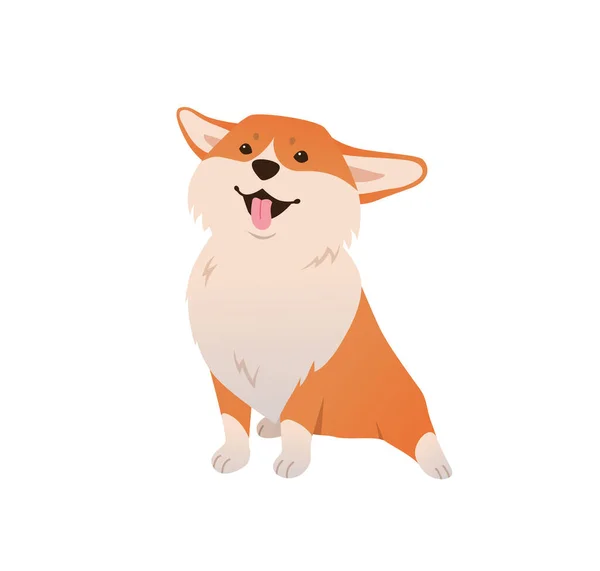 Divertido Perro Sonriente Alegre Corgi Sentado Sobre Fondo Blanco Feliz — Vector de stock