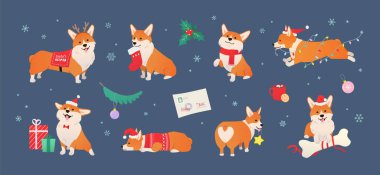 Şirin Noel Corgi Vektör Seti. Holiday Dog karakterleri ve Noel Dekorasyonu. Bayram kıyafetleri ve Noel Baba 'nın şapkasını farklı pozlarda giyen sevimli hayvan.