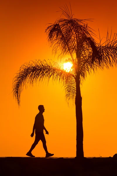 Silhouette of man walking on the sunset — Stock Photo, Image