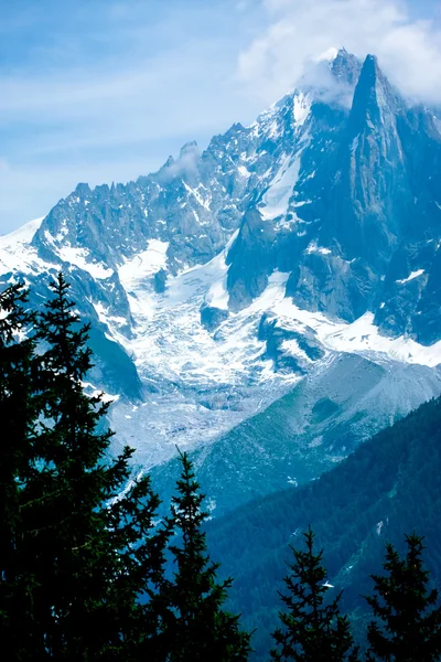 Snow Alps peaks high above the forest — 스톡 사진