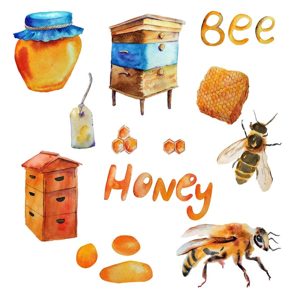 큰 수 채류 요소들: 꿀벌, 벌집, 꿀. 흰색 배경에 분리되어 있는 손으로 그린 물감 삽화 — 스톡 사진
