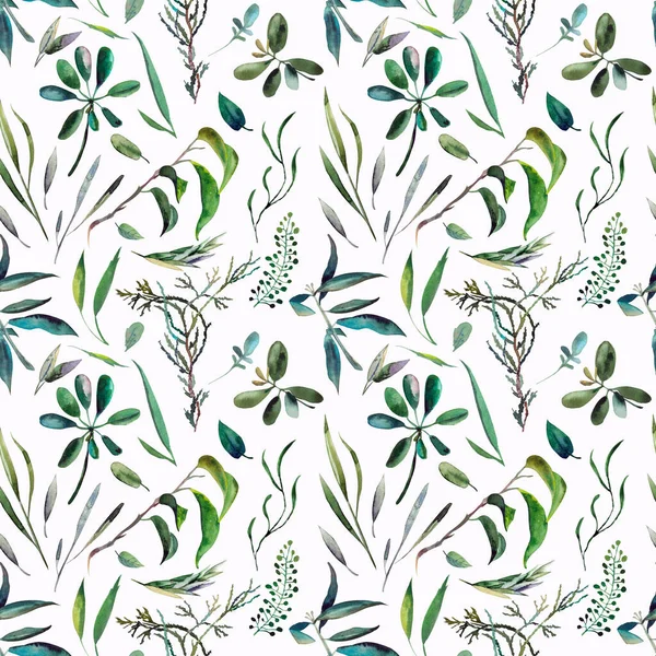 Бесшовный травяной узор. Ручная акварельная иллюстрация для дизайна, текстиля, оберточной бумаги — стоковое фото