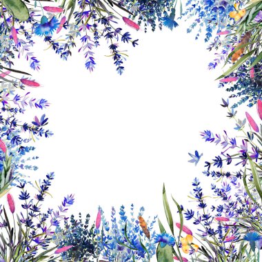 Beyaz arkaplanda el yapımı suluboya lavanta çerçeve izole