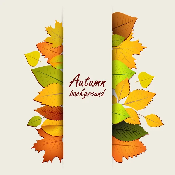 Hojas de otoño sobre un fondo claro — Vector de stock