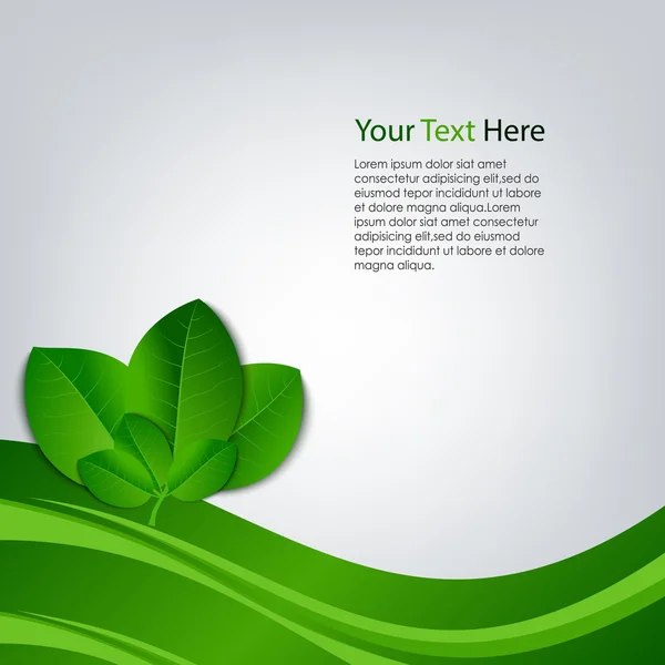 Eco pozadí se zelenými listy šablony — Stockový vektor