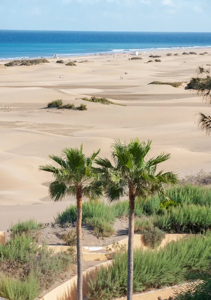 Zandduinen van Maspalomas — Stockfoto