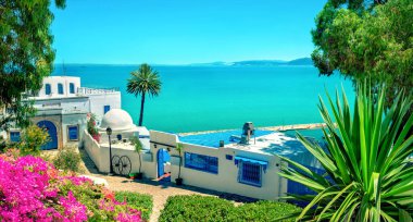 Tipik beyaz mavi evleri ve deniz manzarası olan panoramik bir manzara. Sidi Bou Said, Tunus, Kuzey Afrika