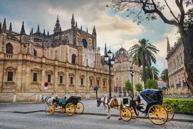Katedral yakınlarında turistler için at arabalarıyla sokak manzarası. Seville, Endülüs, Spai