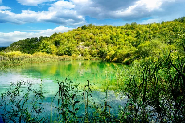 Malowniczy Krajobraz Widokiem Turkusowe Jezioro Plitwickim Parku Narodowym Chorwacja — Zdjęcie stockowe