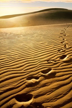 Sandy dunes,Gran Canaria clipart