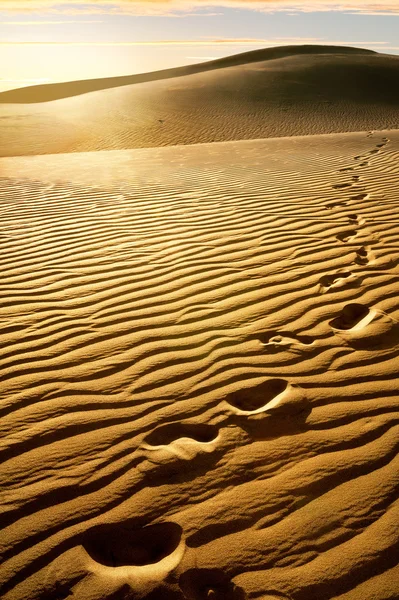 Sandy dunes,Gran Canaria — Stock Photo, Image