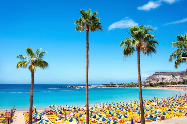 Playa de Amadores beach — Stock Photo, Image