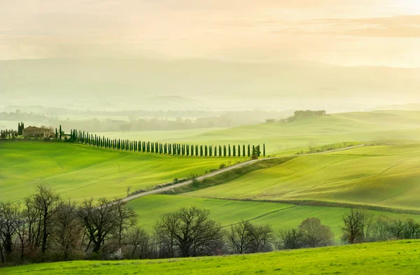 Paisaje en la mañana brumosa en Toscana —  Fotos de Stock