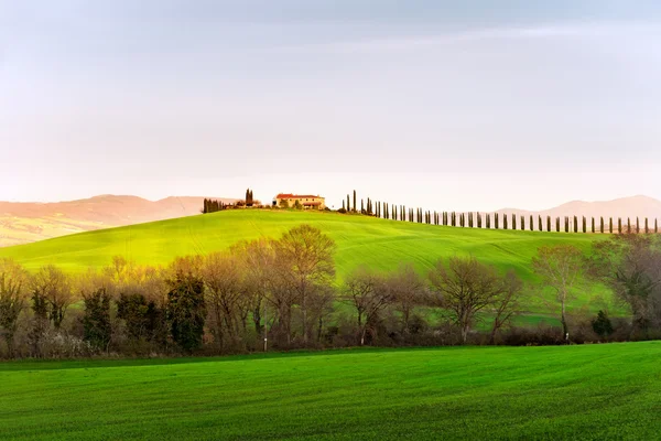 Paisaje del campo en Toscana —  Fotos de Stock