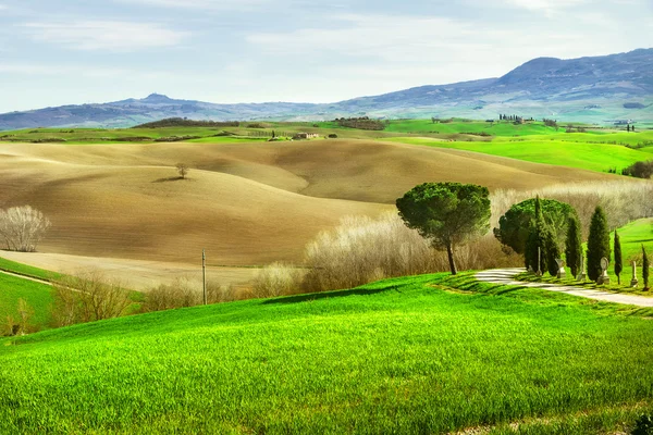 Landschap van het platteland in Toscane — Stockfoto