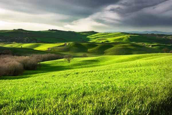 Paisaje del campo en Toscana —  Fotos de Stock