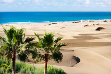 Sand dunes of Maspalomas clipart