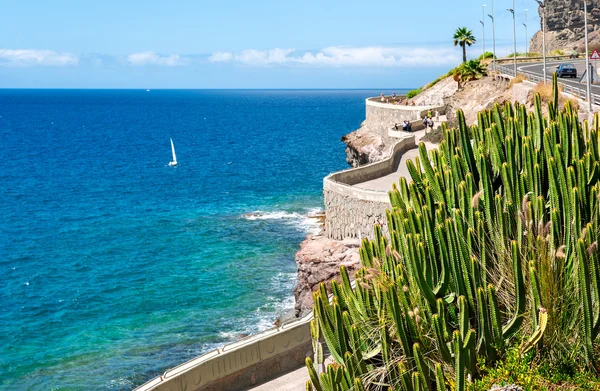 Linia brzegowa z Puerto Rico do plaży Amadores — Zdjęcie stockowe