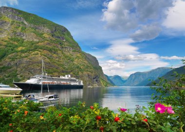 fiyort Sognefjord Norveç'te