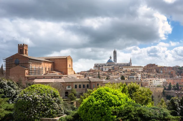 Siena városképe Toszkánában — Stock Fotó