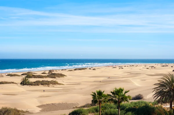 Αμμόλοφοι του Maspalomas — Φωτογραφία Αρχείου