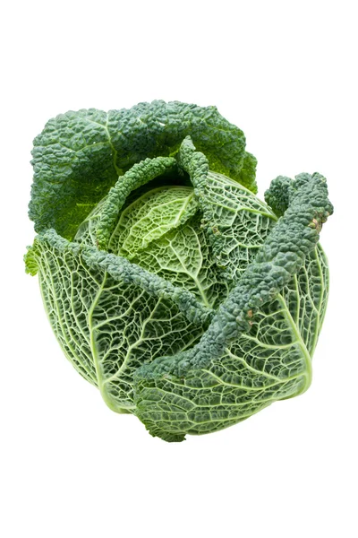 Head of ripe Savoy cabbage isolated — Stock Photo, Image