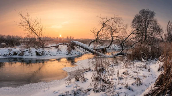 Sonnenuntergang Über Dem Fluss Jeziorka Winter Der Nähe Von Piaseczno Stockbild
