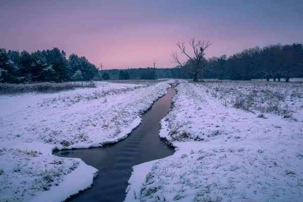 波兰Masovia Konstancin Jeziorna附近Chojnowski风景公园冬季的马拉河 — 图库照片