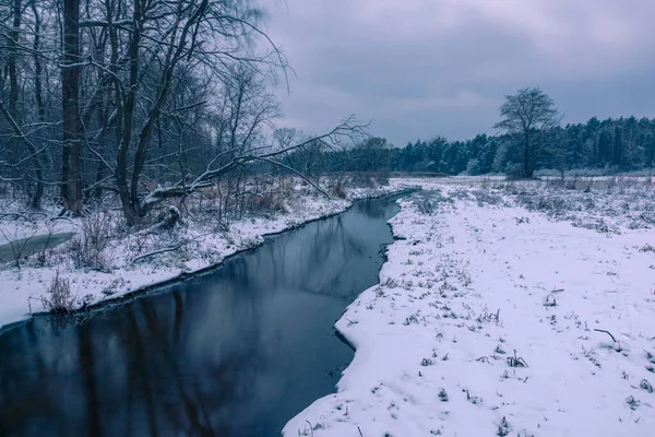 波兰Masovia Konstancin Jeziorna附近Chojnowski风景公园冬季的马拉河 — 图库照片