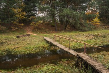Sonbaharda Gora Kalwaria, Mazowieckie, Polonya yakınlarındaki Czarna nehri üzerindeki yaya köprüsü.