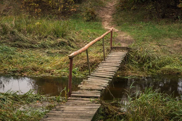 Footbridge Czarna River Φθινόπωρο Κοντά Στο Gora Kalwaria Mazowieckie Πολωνία — Φωτογραφία Αρχείου