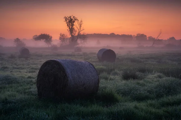 Foggy Morning Jeziorka River Valley Runow Masovia Poland — Stock fotografie