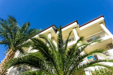 Lüks tropikal tatil köyü ya da palmiyeli özel villa. Rahatlama ve tatil kavramı.