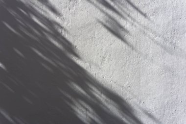 Gölge örtüsü etkisi. Bitkilerin ve ağaç yapraklarının bulanık gölgeleri beyaz, temiz bir duvarda..