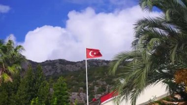 Doğanın arka planında Türk bayrağı. Türkiye siyaseti ve ekonomisi