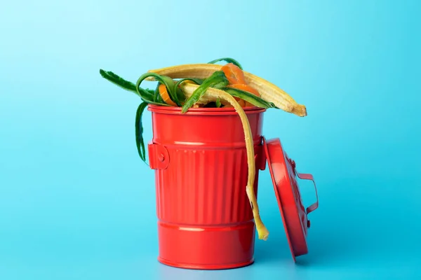 Organic Waste Red Trash Can Recycling Sorting Garbage Food Organic — Stock Photo, Image