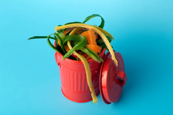 Resíduos Orgânicos Numa Lata Lixo Vermelha Reciclagem Triagem Lixo Alimentos — Fotografia de Stock