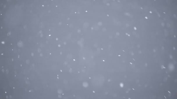 Resumen que brilla sobre un fondo gris. Nieve borrosa y copos de nieve en el invierno en el viento. — Vídeo de stock