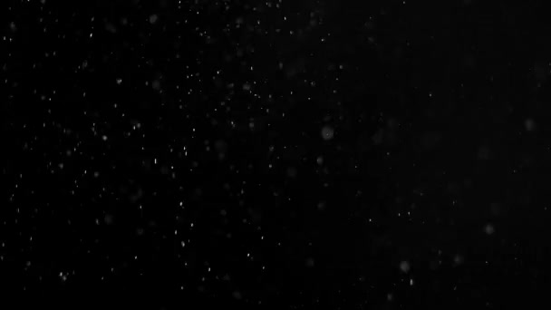 Zuhanó hó elszigetelt fekete háttérrel. Hóeffektus használata grafikákhoz és videókhoz — Stock videók