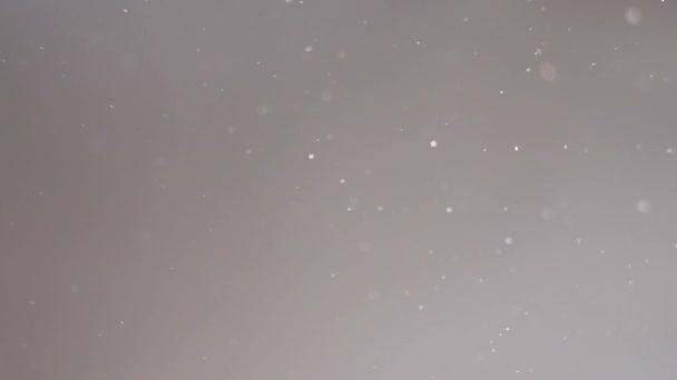 Latar belakang efek bubuk partikel debu. Debu kabur perlahan-lahan terbang di udara di bawah cahaya — Stok Video