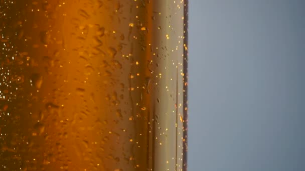 Birra fredda in bottiglia di vetro con gocce di condensazione gocciolanti e bolle d'aria. Sfondo birra con gocce di condensa d'acqua fredda — Video Stock