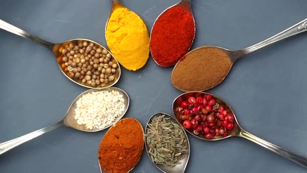 Fondo de especias. Especias de comida india y asiática sobre cucharas y fondo oscuro. Curry, pimienta, chile como ingredientes de la cocina india — Vídeos de Stock
