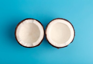 Mavi izole arka planda hindistan cevizleri. Hindistan cevizi asgari konsepti.